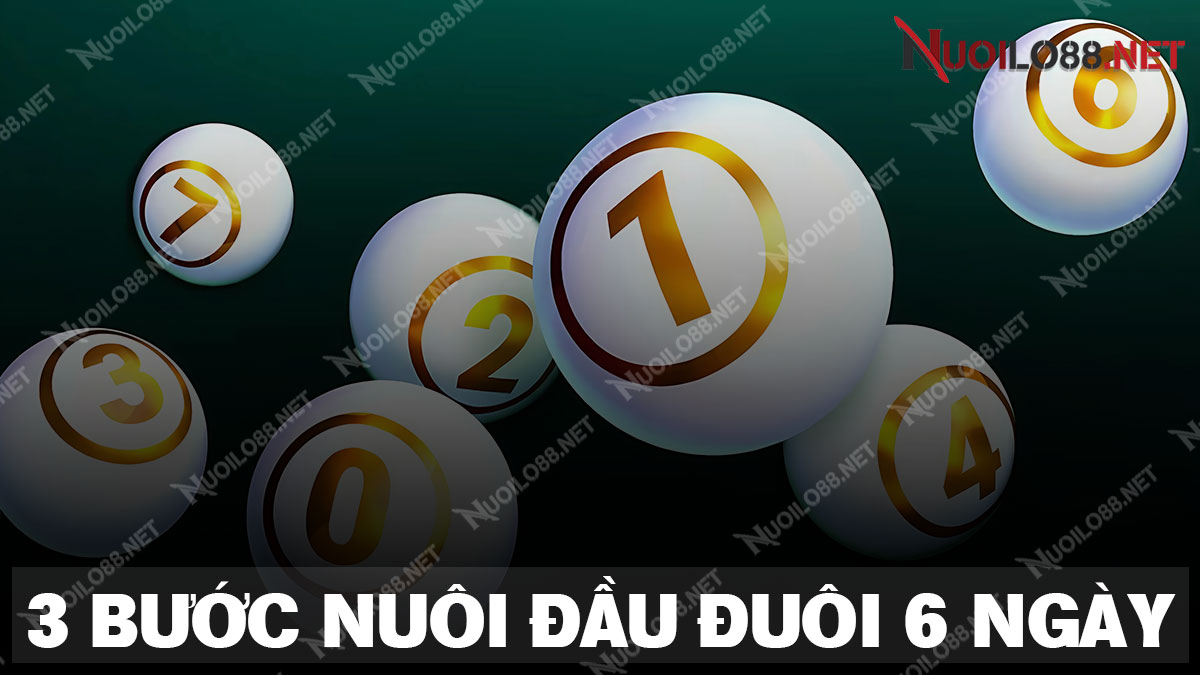 Chia sẻ 3 bước nuôi đầu đuôi khung 6 ngày chiến thắng chủ lô