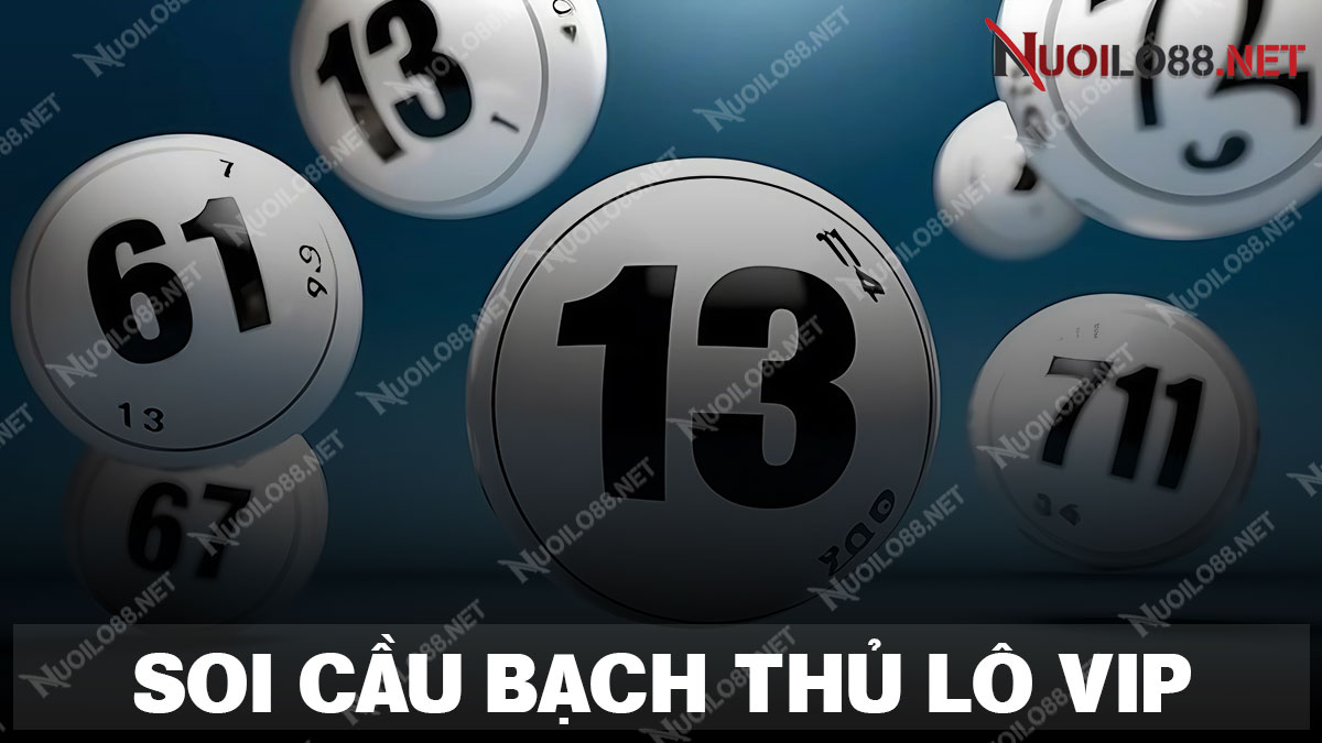 Bạch thủ lô miền Bắc hôm nay