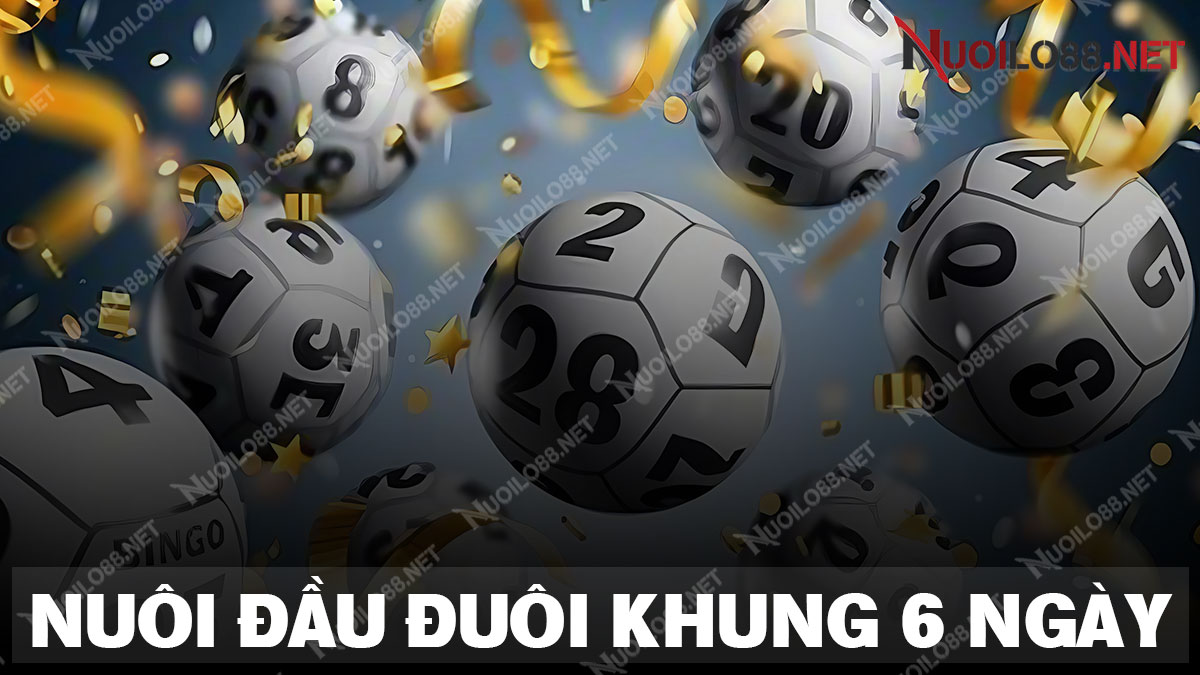 Nuôi đầu đuôi khung 6 ngày