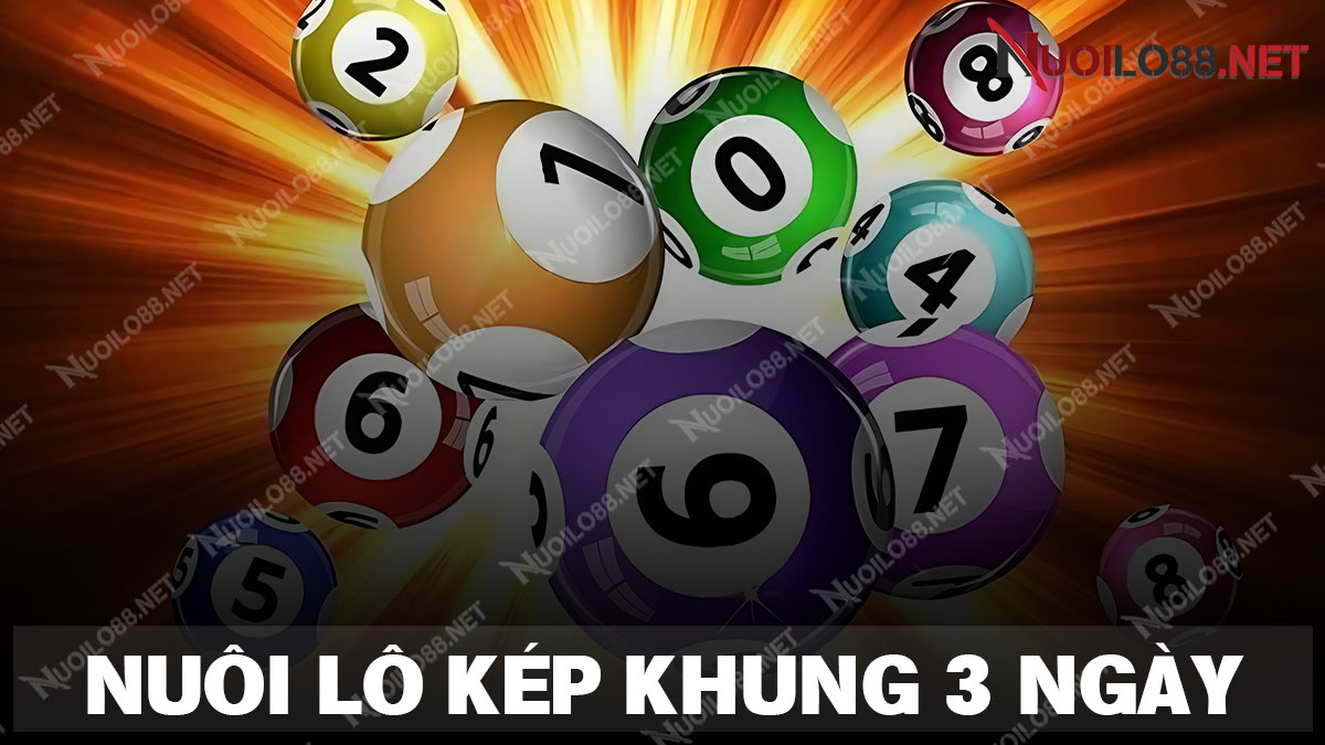 Nuôi lô kép khung 3 ngày