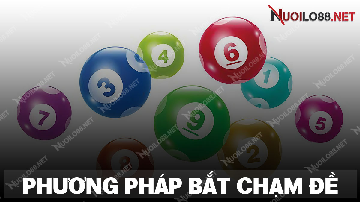 Chia sẻ ohương pháp bắt chạm đầu đuôi miền bắc