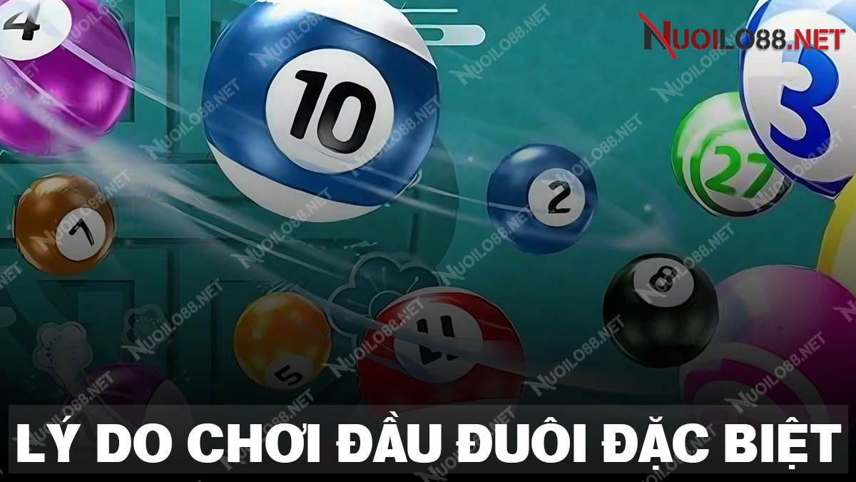 Những lý do anh em nên chơi đầu đuôi miền Bắc