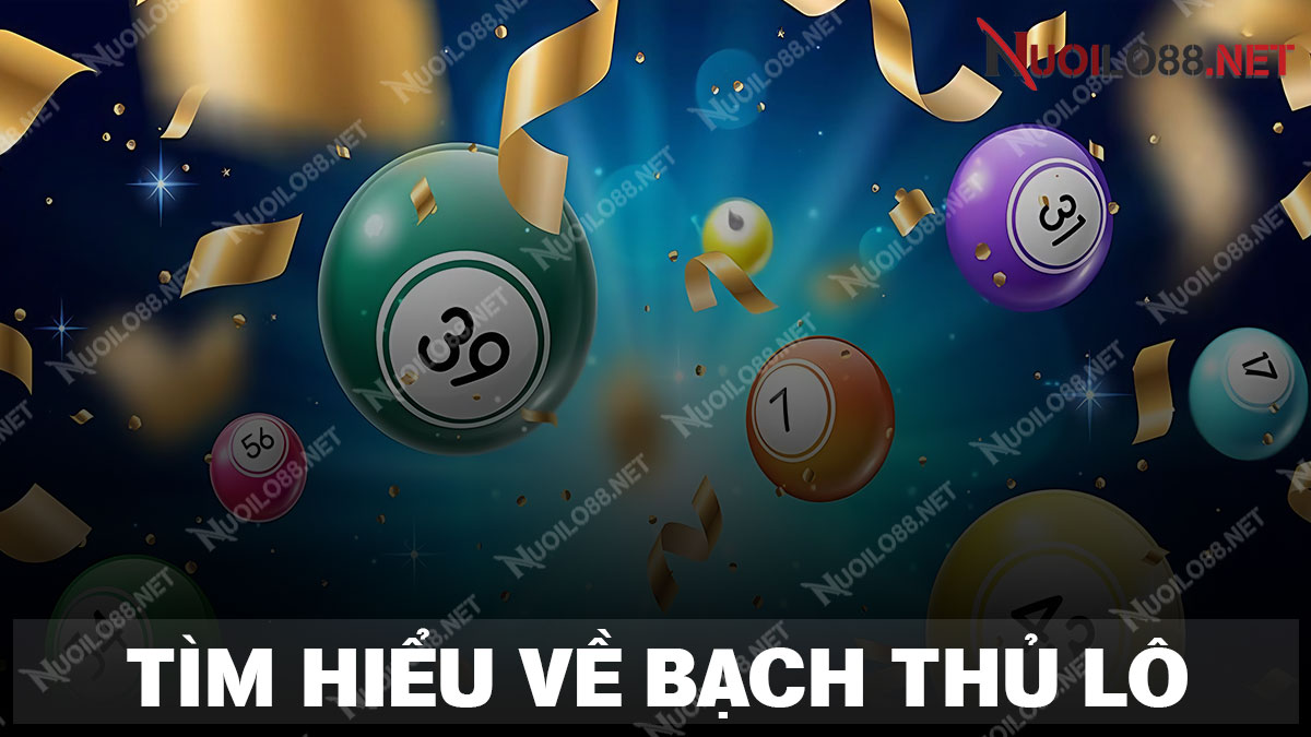 Tìm hiểu chi tiết về bạch thủ lô miền bắc hôm nay
