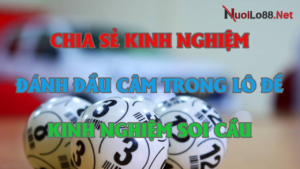 Bí Kíp Đánh Đầu Câm Trúng Lớn