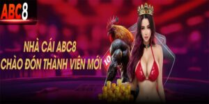 Trải nghiệm hấp dẫn cùng nhà cái abc8