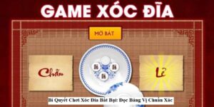 Bí Quyết Chơi Xóc Đĩa Bất Bại: Đọc Bảng Vị Chuẩn Xác