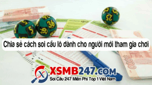 Chia sẻ cách soi cầu lô dành cho người mới tham gia chơi