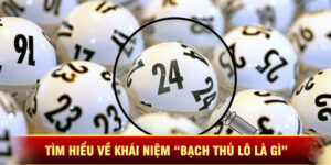 Tìm Hiểu Về Khái Niệm “Bạch Thủ Lô Là Gì”