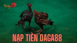 Các sự cố thường gặp trong quá trình nạp tiền DAGA88
