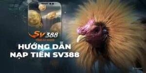 Cập nhật tỷ lệ quy đổi khi nạp tiền SV388 từng phương thức
