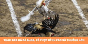 Tham gia đá gà bj88, cá cược đỉnh cao và thưởng lớn