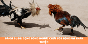 Đá gà bj88: Cộng đồng người chơi sôi động và thân thiện