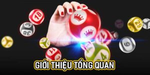 Giới thiệu tổng quan