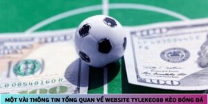 Website có nhiều tính năng nổi bật hứa hẹn mang lại trải nghiệm tuyệt vời cho anh em