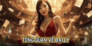 Tổng quan về đại lý