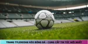 Website kèo nhà cái được nhiều anh em đánh giá cao về chất lượng