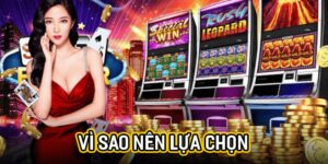 Vì sao nên lựa chọn