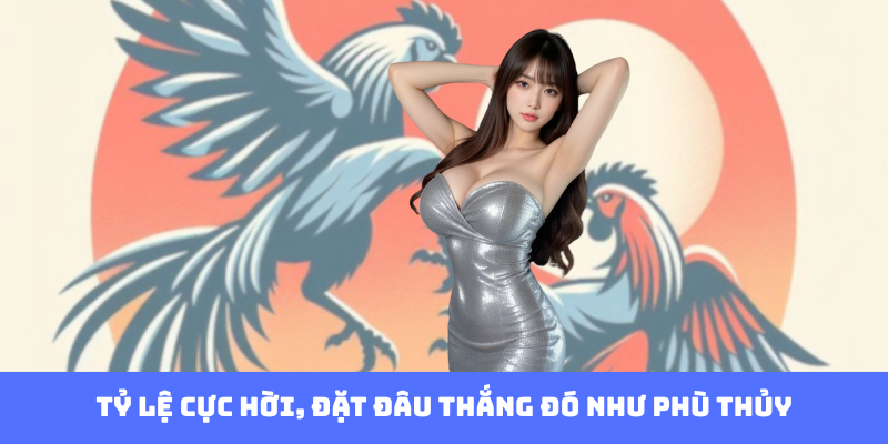 Tỷ lệ cực hời, đặt đâu thắng đó như phù thủy