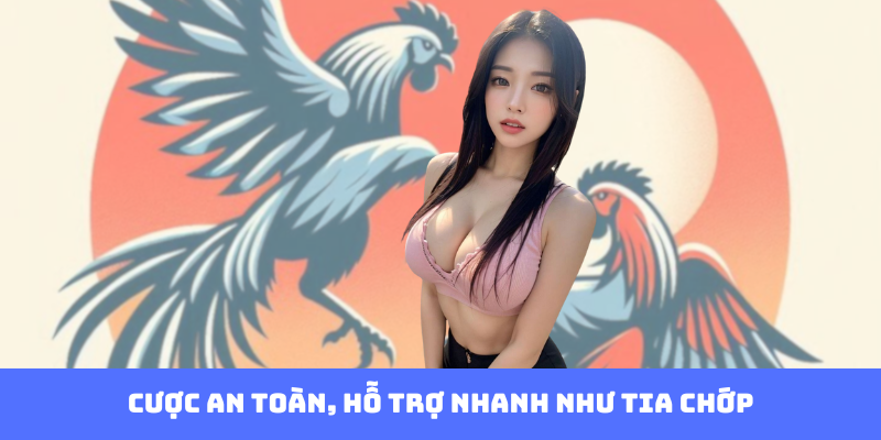 Cược an toàn, hỗ trợ nhanh như tia chớp
