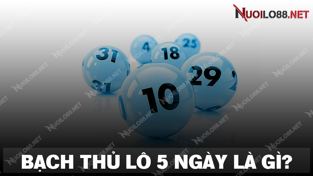 Tìm hiểu chi tiết về bạch thủ lô khung 5 ngày