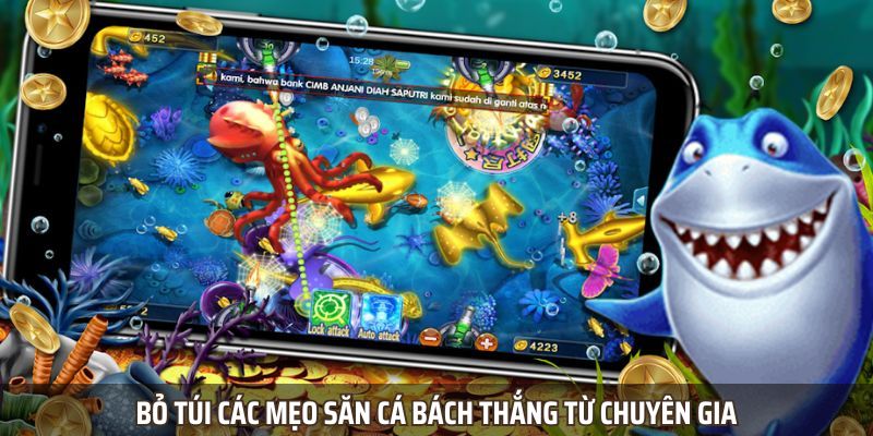 Bỏ túi các mẹo săn cá bách thắng từ chuyên gia