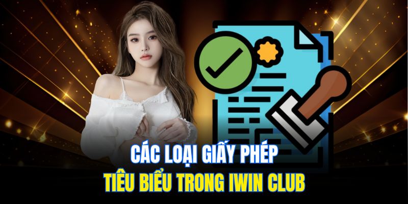 Các loại giấy phép tiêu biểu trong Iwin