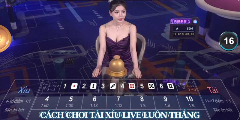 Cách Chơi Tài Xỉu Live Luôn Thắng – Học Ngay Cùng Winclub