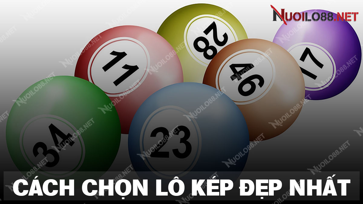 Hướng dẫn lựa chọn bạch thủ lô kép đẹp nhất trong ngày