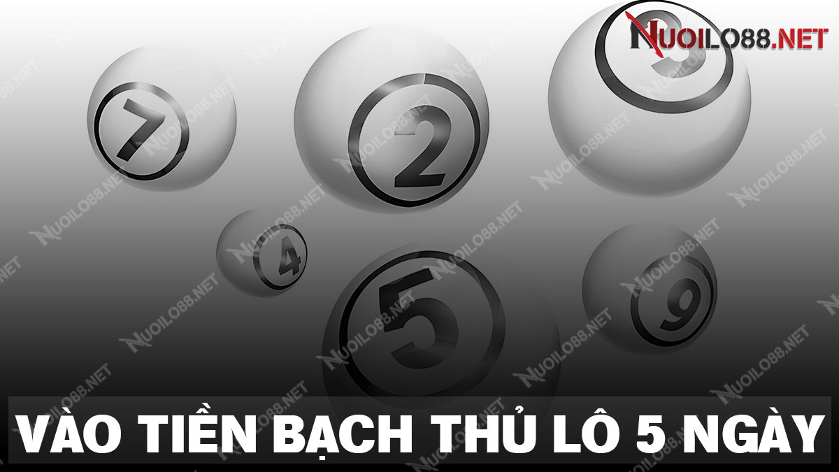 Hướng dẫn vào tiền bạch thủ lô nuôi khung 5 ngày từ bậc cao thủ