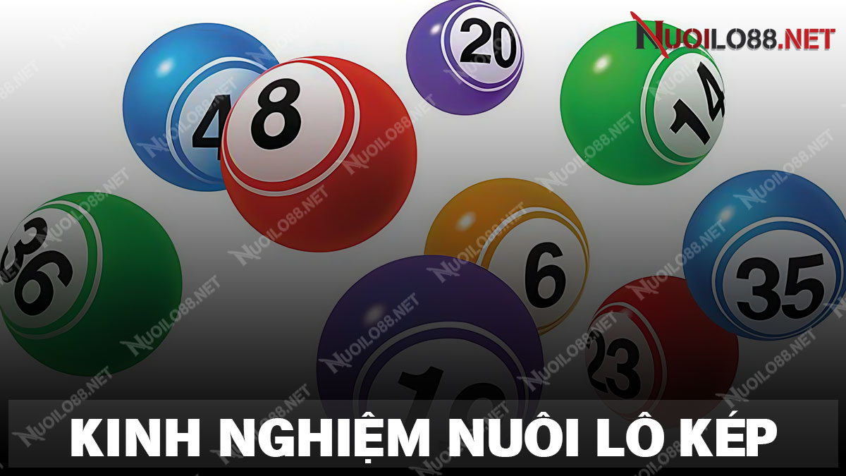 Chia sẻ kinh nghiệm nuôi lô kép hôm nay bất bại từ chuyên gia