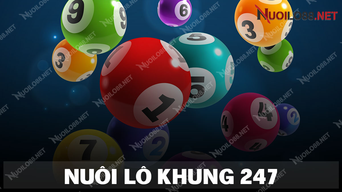 Nuôi lô khung 247
