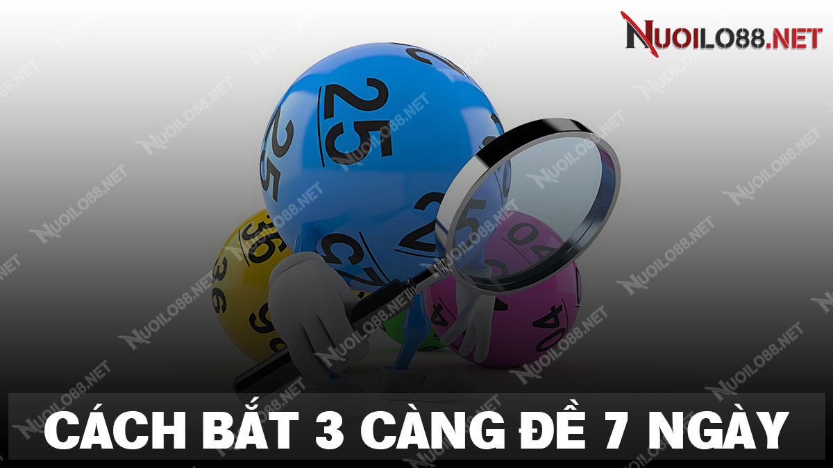 Chia sẻ phương pháp bắt 3 càng miền bắc miễn phí từ bậc cao thủ