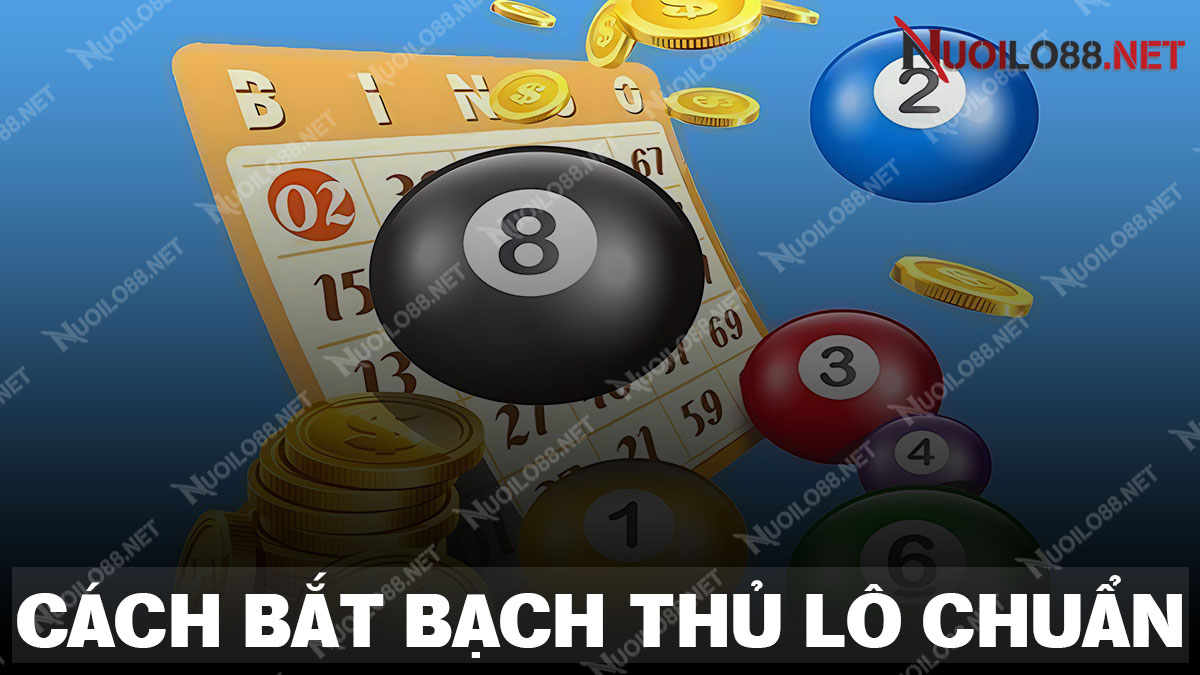 Chia sẻ phương pháp soi cầu bạch thủ lô 2 nháy từ chuyên gia