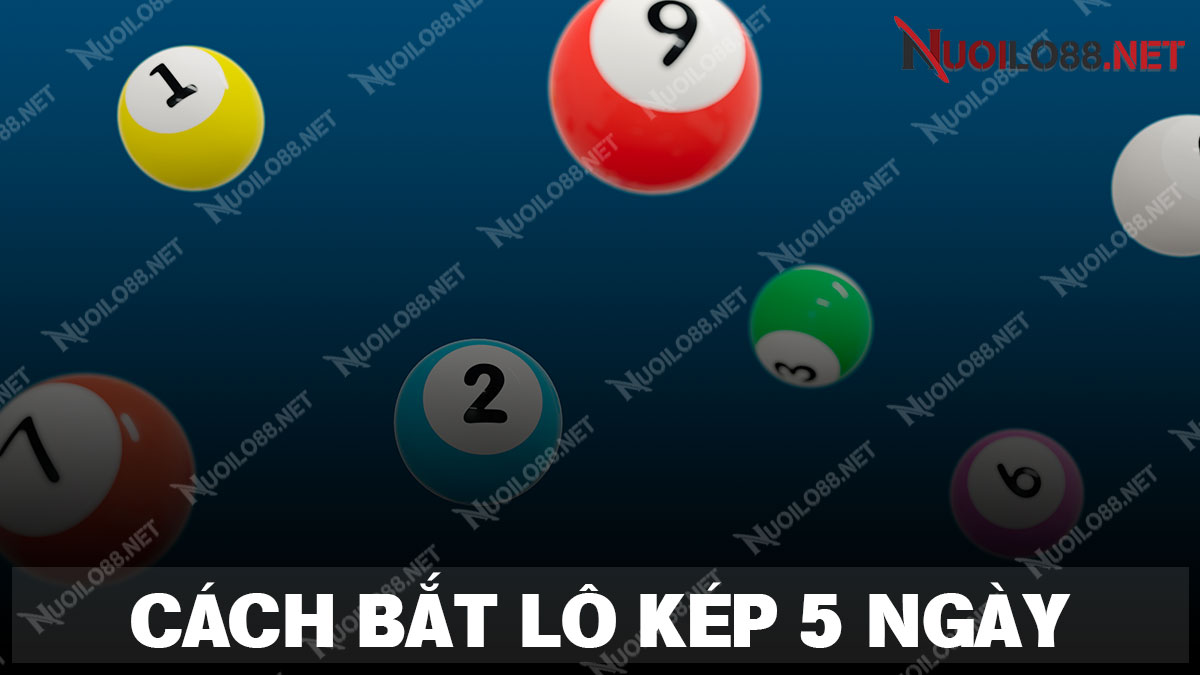 Chia sẻ phương pháp soi cầu lô kép khung 5 ngày bất bại