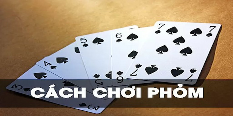 Giải nghĩa thuật ngữ cơ bản khi chơi bài Phỏm UW88