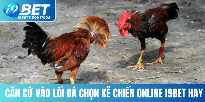 Kê Chiến Online I9BET – Cách Chọn Gà Chuẩn Thắng 100%