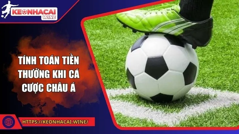 Tỷ lệ kèo Handicap: chìa khóa phân tích trận đấu cho dân cá cược thông minh
