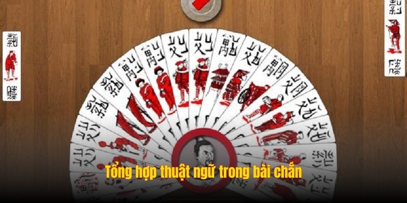 Tổng hợp thuật ngữ trong bài chắn