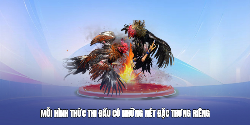 Mỗi hình thức thi đấu có những nét đặc trưng riêng