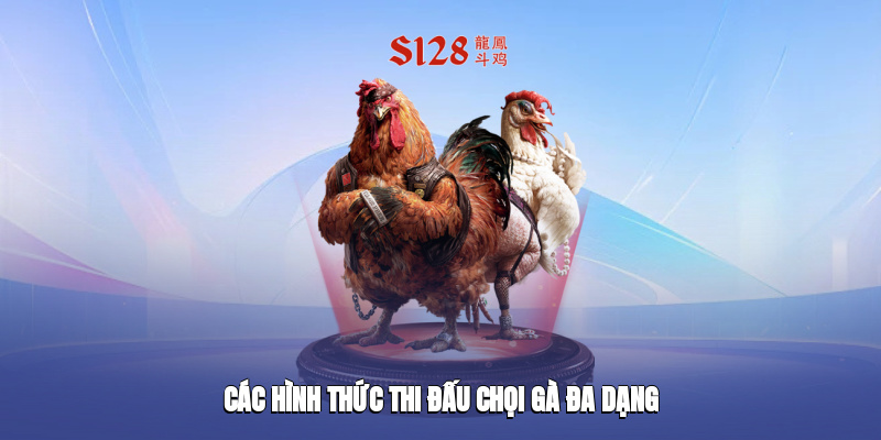 Các hình thức thi đấu chọi gà đa dạng