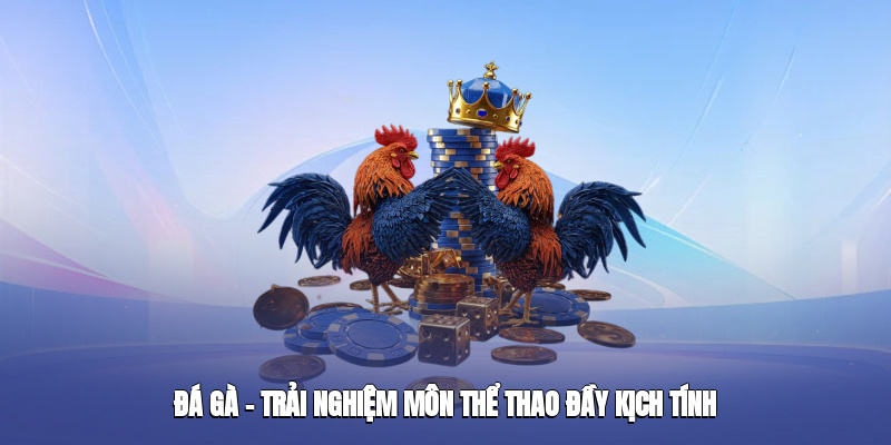 Đá Gà XX88 – Trải Nghiệm Môn Thể Thao Đầy Kịch Tính