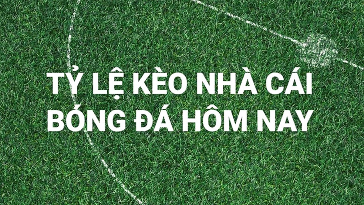 keonhacai22-chi-cung-cap-ti-le-keo