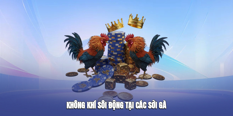 Bầu không khí tại sới gà luôn náo nhiệt