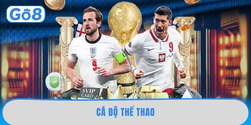 Tool Hack Thể Thao GO8 – Bí Kíp “Bẻ Kèo” Khiến Nhà Cái Phát Sốt