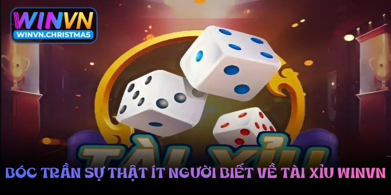Tài xỉu Winvn – Làm chủ cuộc chơi với chiến thuật chuẩn