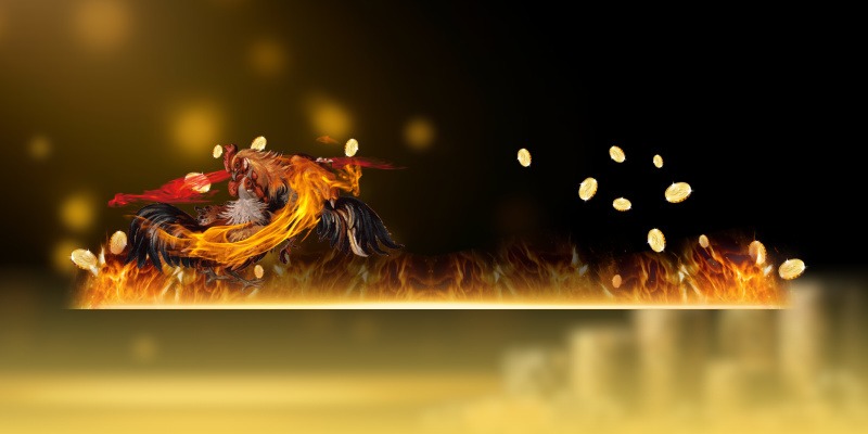 da-ga-cua-dao-12bet-man-nhan-tung-pha