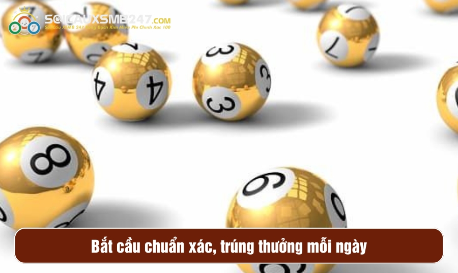 Bắt cầu chuẩn xác, trúng thưởng mỗi ngày