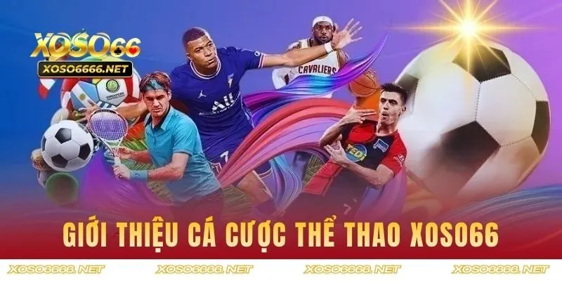Cách cá cược thể thao hiệu quả trên XOSO66