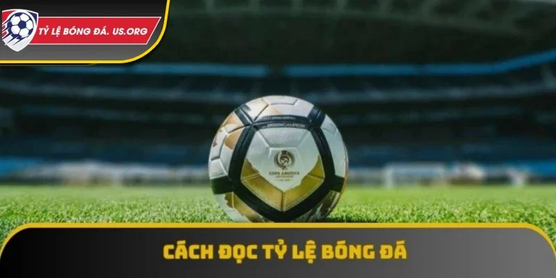 tip-ca-cuoc-bong-da-nghe-thuat