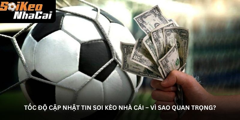 Tin soi kèo nhà cái hôm nay – Tỷ lệ và dự đoán chuẩn xác